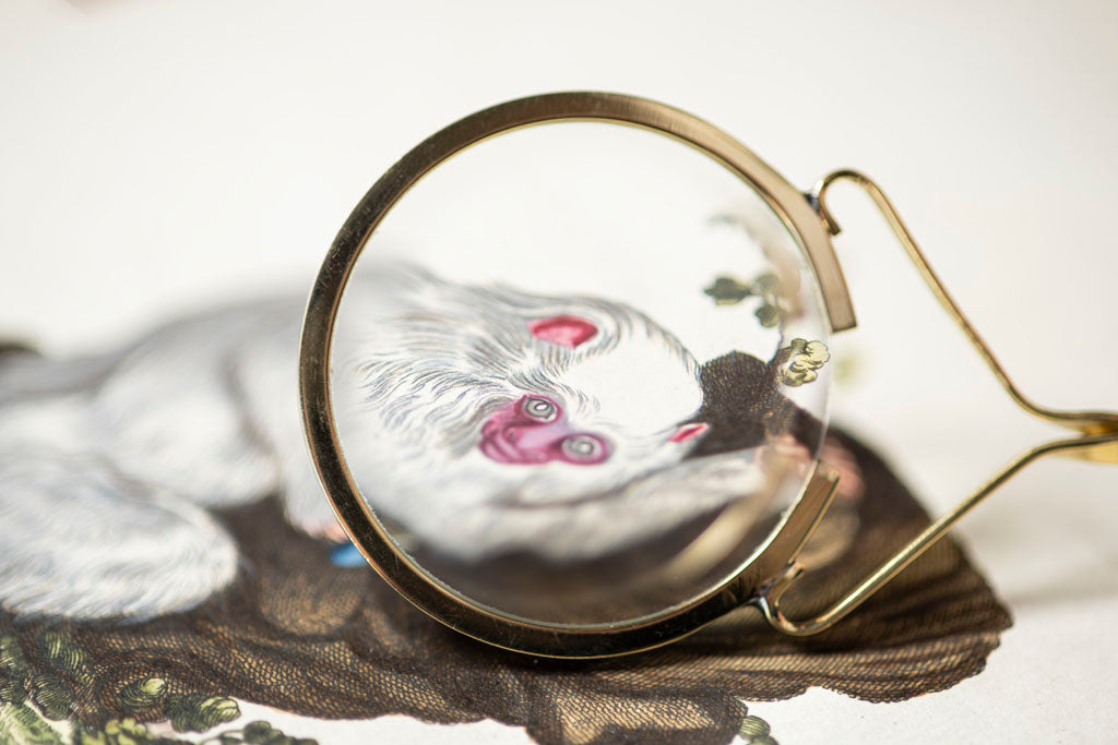 18th Century Brass Magnifying Glass Close Up